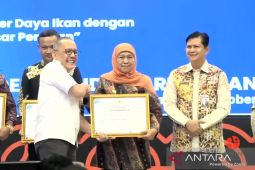 BRIN apresiasi 39 penggerak riset dan inovasi daerah di Indonesia