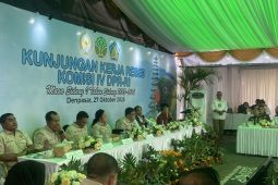 Raja Juli minta maaf kepada masyarakat Papua soal kasus pembakaran mahkota cendrawasih