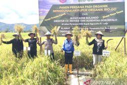 Bone Bolango dukung pemanfaatan pupuk organik pertanian berkelanjutan