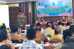 Pemkab Manokwari tata birokrasi melalui penyusunan peta jabatan