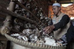 Corps Dai Dompet Dhuafa dorong Dai Transformatif