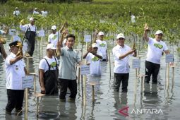Wapres Gibran kunjungi Taman Mangrove Ketapang di Tangerang