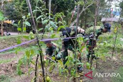 Satgas TNI Yonif 521 mendorong warga Mamteng manfaatkan lahan untuk pertanian