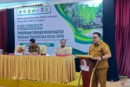 Pokja RBP REDD dan DLHK Gorontalo latih KPH menghitung cadangan karbon