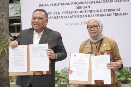 PLN-Dishut Kalsel sepakati pembangunan jaringan listrik desa di tiga kabupaten