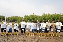 PLN Icon Plus dan Jejakin tanam 2.500 pohon Mangrove di Semarang dukung restorasi pesisir