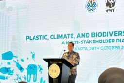 Pesut mahakam tinggal 64, pemerintah rancang kawasan bebas kapal batu bara