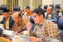 Ravindra Airlangga dorong penguatan nilai dan ekonomi digital ASEAN