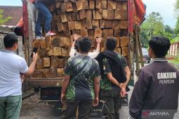 DLHK NTB gagalkan pengiriman 50 meter kubik kayu ilegal dari Sumbawa