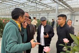 PWNU Jatim kunjungi industri perkebunan modern di Tiongkok