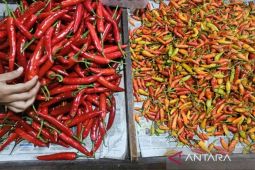 Harga pangan Rabu ini, cabai rawit Rp39.200/kg dan telur ayam Rp31.450/kg