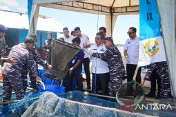 Dukung ketahanan pangan, TNI AL panen 150 kilogram ikan di Maluku