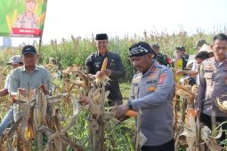 Serapan jagung Polres Serang ke Bulog tertinggi di Banten
