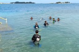 Pulau Seribu kembangkan wisata bahari