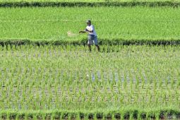 Menjemput keadilan di tanah yang terlupa