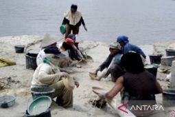 Ini alasan kompensasi bijih timah di penambang rakyat