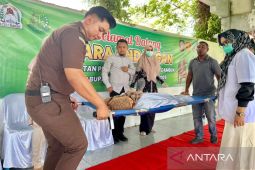 IRT terpidana zina pingsan usai 100 hukuman cambuk di Aceh Barat