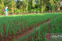 Jejak literasi keuangan dari pegunungan hingga kepulauan di wilayah Sulsel