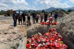 Polres Bengkayang memusnahkan wortel dan kentang asal Malaysia
