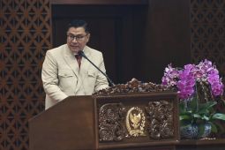 Anggota DPR minta Kemenhub mengoptimalkan bandara di daerah potensial
