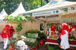 Jaktim kembangkan "urban farming" perkuat ketahanan pangan