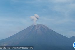 Semeru alami delapan kali erupsi dengan tinggi letusan 800 meter