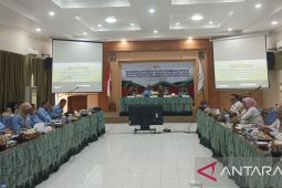 Wakil Ketua Komisi IV DPR RI: Papua miliki potensi besar di bidang pertanian