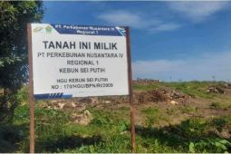 Manjemen PTPN IV sampaikan terjadi penanaman liar di areal HGU