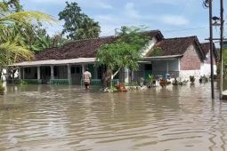 Banjir terjang dua desa di Lumajang, 1.281 KK terdampak