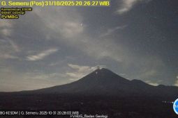 Gunung Semeru erupsi lagi, tinggi letusan 700 meter di atas puncak