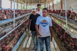 Petani dan peternak di Sidrap diarahkan pakai QRIS