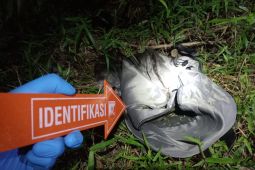 Polres Lamsel selidiki kasus penemuan mayat bayi di perkebunan karet