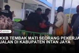 PEKERJA JALAN DI INTAN JAYA DITEMBAK KKB