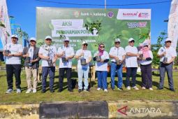 Bank Kalteng gelar aksi penanaman pohon, dukung keberlanjutan lingkungan