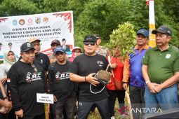 Pemkab Kubu Raya gencarkan penghijauan tekan emisi gas rumah kaca