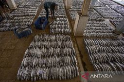 Volume penangkapan ikan nasional