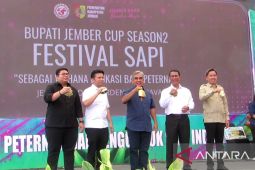 Mentan: Festival Sapi solusi selesaikan impor daging sapi