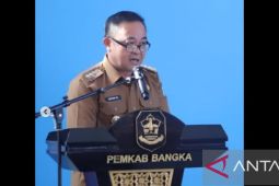 Pj Bupati Bangka: Aplikasi Sedulang meningkatkan pendapatan daerah