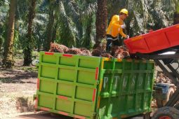 Astra Agro komitmen jaga ketertelusuran rantai pasok sawit