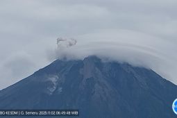 Semeru delapan kali erupsi dengan letusan setinggi 800 meter