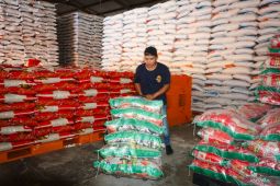 Pemkot Balikpapan kendalikan harga beras
