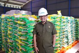 Bapanas pastikan perputaran stok enam bulan jamin kualitas beras