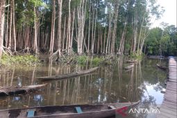 Anggaran Pokja Kampung Keakwa Baru untuk buat 70 perahu dayung