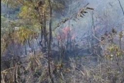 Pusdalops catat satu hektare terdampak karhutla di Padangsidimpuan