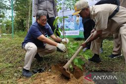 Kebun Raya Tua Tunu Pangkalpinang kembangkan malapari untuk biodiesel