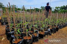 Natuna dan Kepri bayar Iuran BPJS Ketenagakerjaan petani