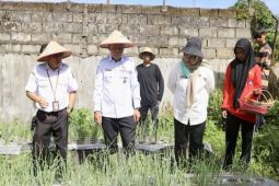 Pemprov Kalteng terapkan TSS perkuat edukasi tanam bawang merah di pekarangan