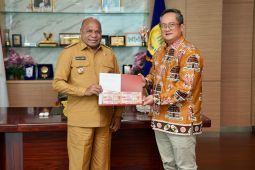 Gubernur Papua Fakhiri ajak generasi muda melihat pertanian sebagai peluang