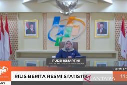 RI alami inflasi sebesar 0,28 persen secara bulanan pada Oktober 2025