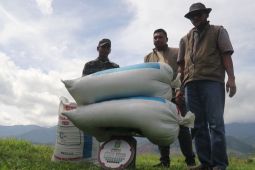 Bulog pastikan harga gabah panen gadu stabil